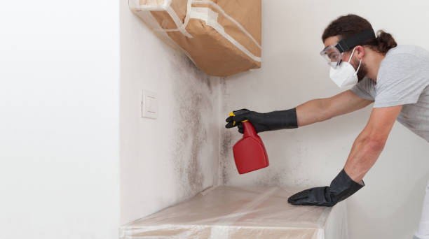 Professional Crawl Space Mold Removal technician working in Rancocas, NJ