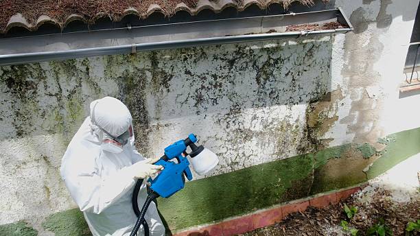 Trusted Commercial Mold Remediation service in Rancocas, NJ - Cheap Mold Removal